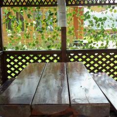 Мини-отель Остров, Александров, Владимирская область