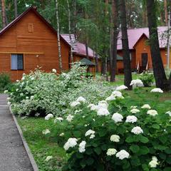 База отдыха Шахтер, Алексин, Тульская область