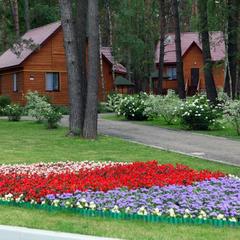 База отдыха Шахтер, Алексин, Тульская область