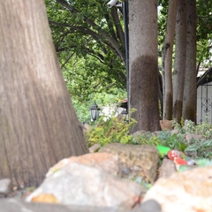 Отель Алупка, Алупка, Крым