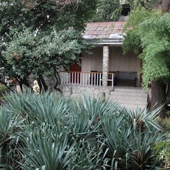 Пансионат Летний дворик, Алупка, Крым