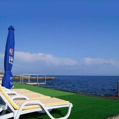 Отель Эллинг Оливия, Алупка, Крым