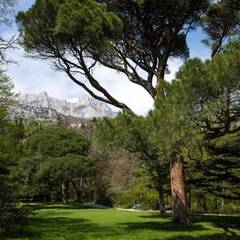 Гостиница Сон у моря, Алупка, Крым