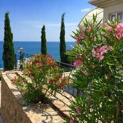 Гостиница Сон у моря, Алупка, Крым