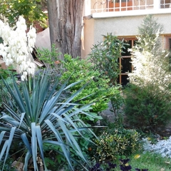 Гостевой дом Радмир, Алупка, Крым