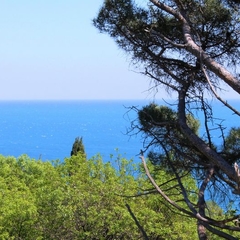 Гостевой дом Радмир, Алупка, Крым