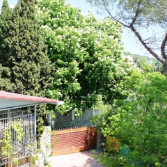 Гостевой дом Радмир, Алупка, Крым