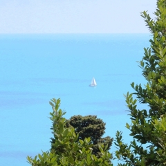 Гостевой дом Радмир, Алупка, Крым