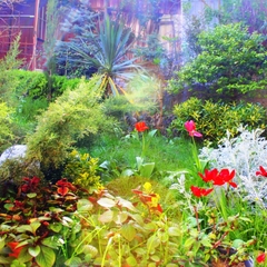 Гостевой дом Радмир, Алупка, Крым