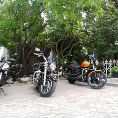 Гостевой дом Радмир, Алупка, Крым