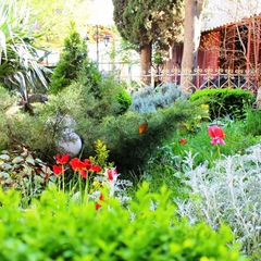 Гостевой дом Радмир, Алупка, Крым