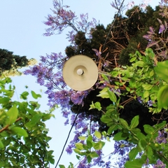 Гостевой дом Радмир, Алупка, Крым