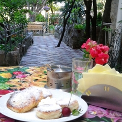 Гостевой дом Радмир, Алупка, Крым