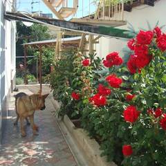 Гостевой дом Комфорт, Алушта, Крым