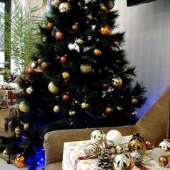 Отель Дарья, Алушта, Крым