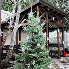 Отель Дарья, Алушта, Крым