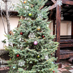 Отель Дарья, Алушта, Крым