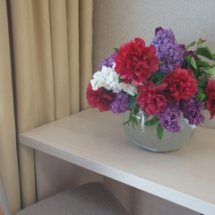 Отель Дарья, Алушта, Крым