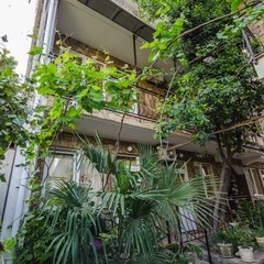 Гостевой дом Рыжий Кот, Алушта, Крым