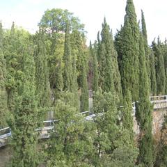 Отель Сказка, Алушта, Крым