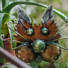 Гостевой дом Рыжий Кот, Алушта, Крым