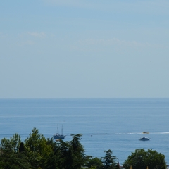 Гостевой дом Алвис, Алушта, Крым