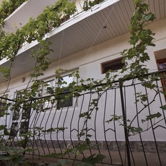 Пансионат Уютный, Алушта, Крым