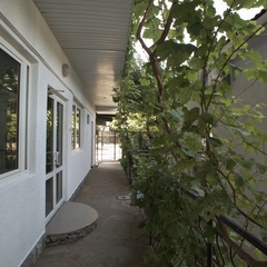 Пансионат Уютный, Алушта, Крым