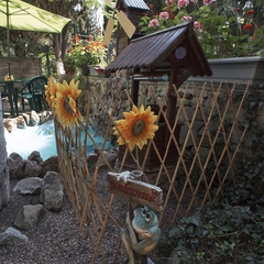 Пансионат Уютный, Алушта, Крым