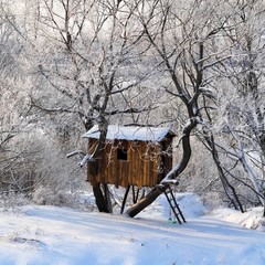 База отдыха Русилово, Амерево, Московская область