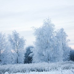 База отдыха Русилово, Амерево, Московская область