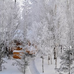База отдыха Русилово, Амерево, Московская область