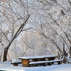 База отдыха Русилово, Амерево, Московская область