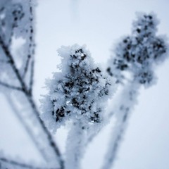База отдыха Русилово, Амерево, Московская область
