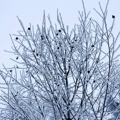 База отдыха Русилово, Амерево, Московская область