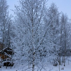 База отдыха Русилово, Амерево, Московская область