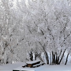 База отдыха Русилово, Амерево, Московская область