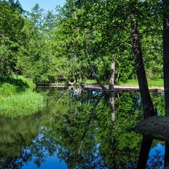 База отдыха Русилово, Амерево, Московская область