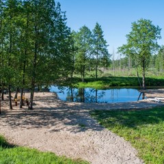 База отдыха Русилово, Амерево, Московская область