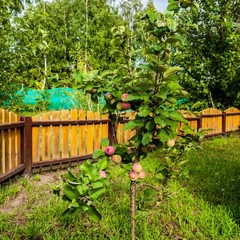 База отдыха Русилово, Амерево, Московская область