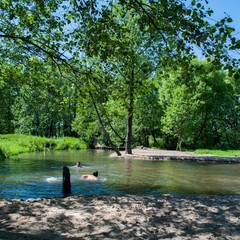 База отдыха Русилово, Амерево, Московская область