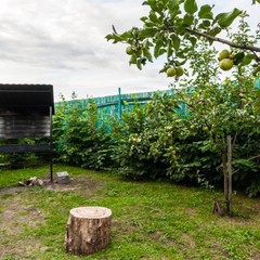 База отдыха Русилово, Амерево, Московская область