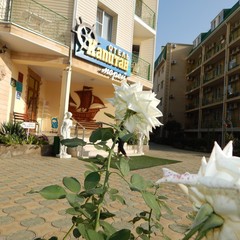 Отель Капитан морей, Анапа, Краснодарский край