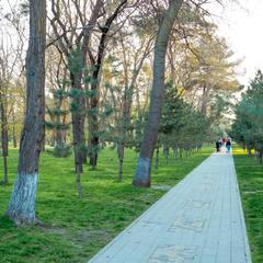 Отель Мишель, Анапа, Краснодарский край