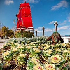 Отель Мишель, Анапа, Краснодарский край