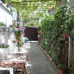 Мини-гостиница На Краснодарской, Анапа, Краснодарский край