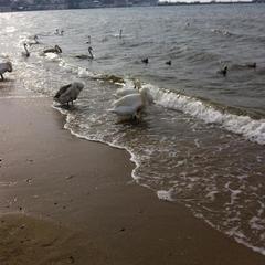 Отель Ямал, Анапа, Краснодарский край