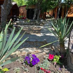 Комплекс Можжевеловый рай, Анапа, Краснодарский край