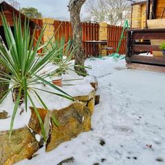 Комплекс Можжевеловый рай, Анапа, Краснодарский край