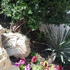 Отель Адмирал, Анапа, Краснодарский край